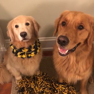 Meet your Posher, Alana